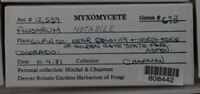 Image Associated With the Occurence